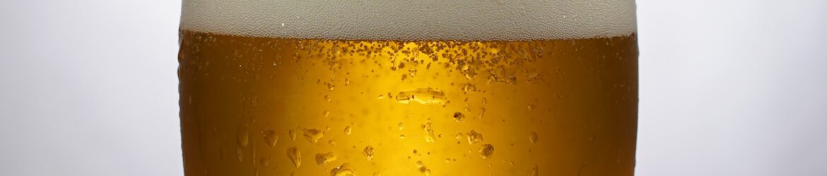 lager beer homebrew